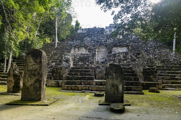 Unesco world heritage site Calakmul