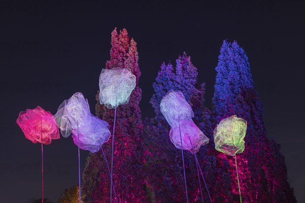 Autumn Lights in the Bridgehead Park