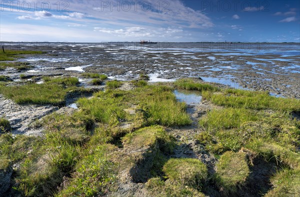 North Sea beach Hilgenriedersiel at low tide