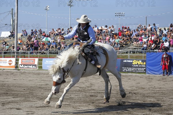 Rodeo competition
