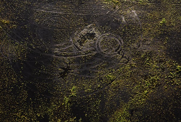 Drone image