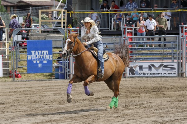 Rodeo competition