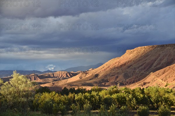 Draa valley with trees and flat mountains in the evening sun