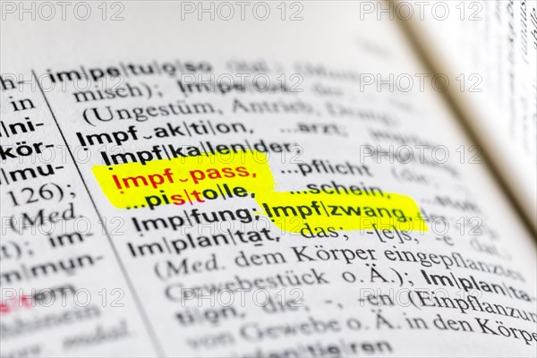 Dictionary entry
