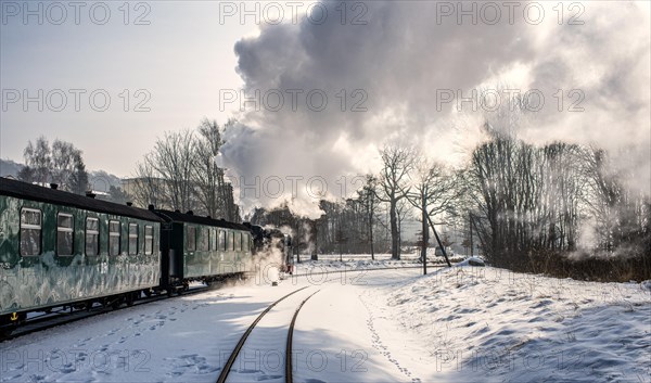 The historic railway Rasender Roland on the island of Ruegen