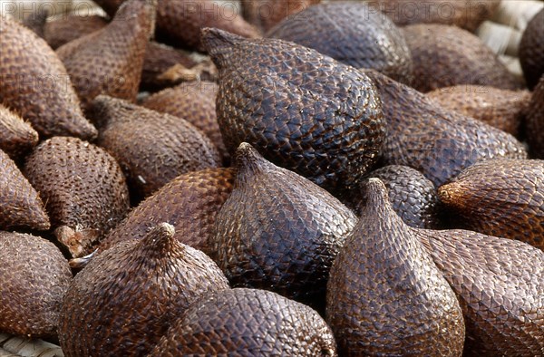 Salak