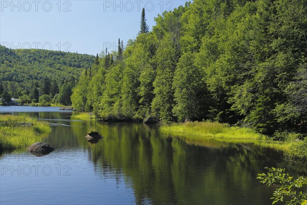 Lake