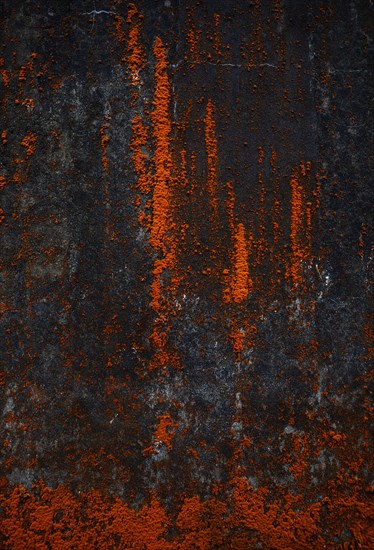House facade with red algae growth