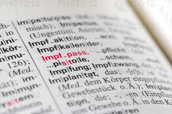 Dictionary entry