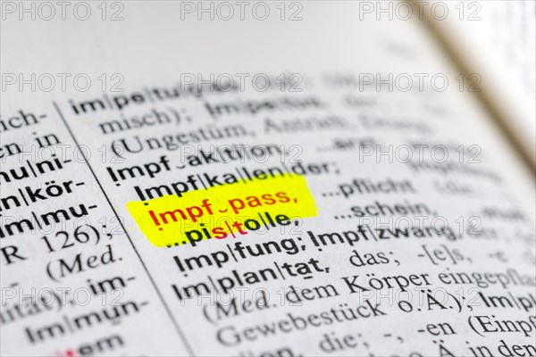 Dictionary entry