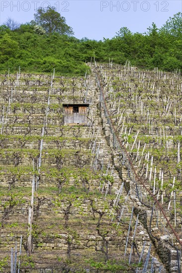 Vineyard stairs