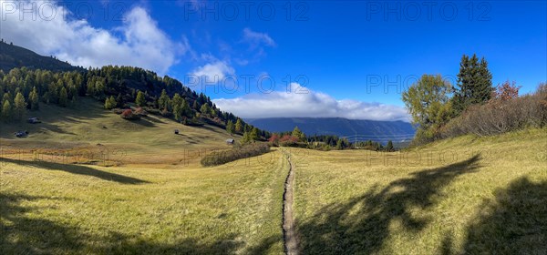 Single Trail at the Rescheralm