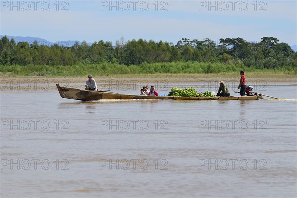 Long boat loaded with bananas on the Rio Alto Beni