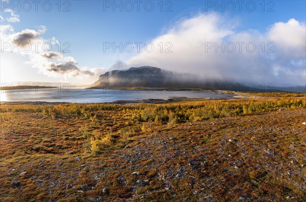 Autumn fell landscape
