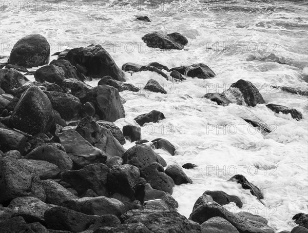 Monochrome