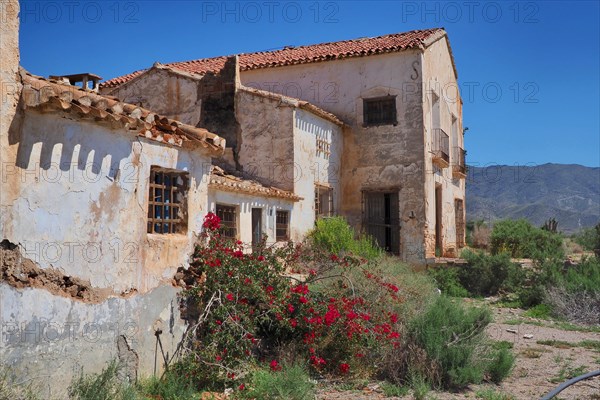 Side view of Finca El Garrobillo with bougainvilea in front of mountains