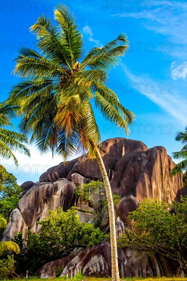 Granite Monolith