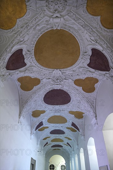 Stucco vault in the State Library in the New Residence