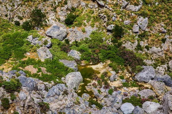 Megalopotamos streambed in Kourtalioiko gorge