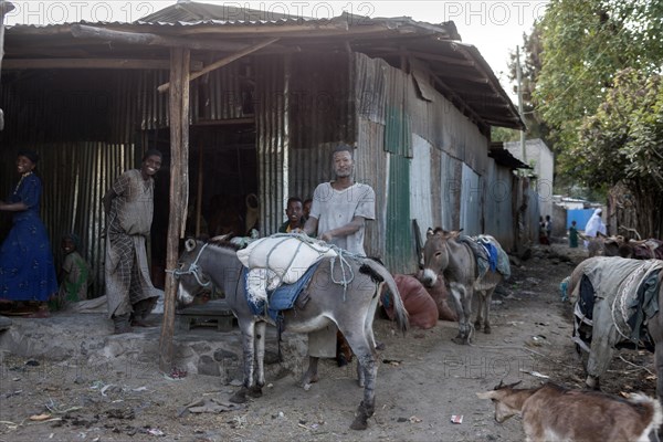 Donkey packing station