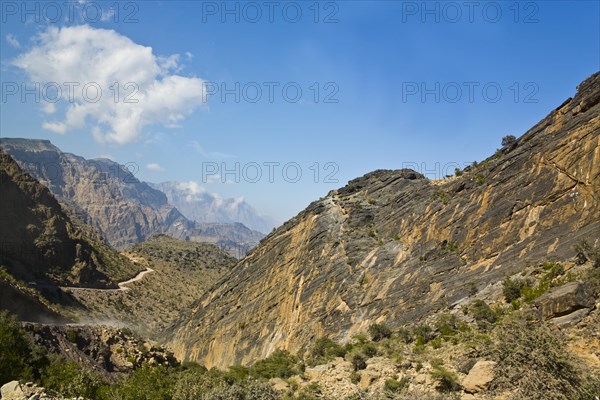 Winding Mountain Roads