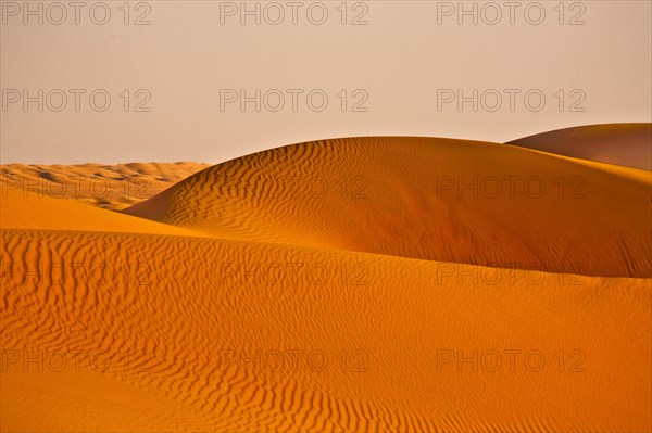 Sand Dunes