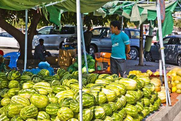 Vegetable Souk