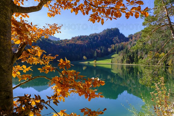 Alatsee near Fuessen