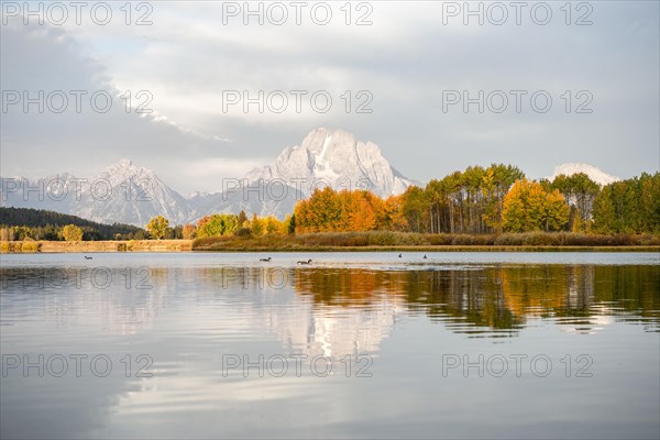 Mount Moran reflected in Snake River