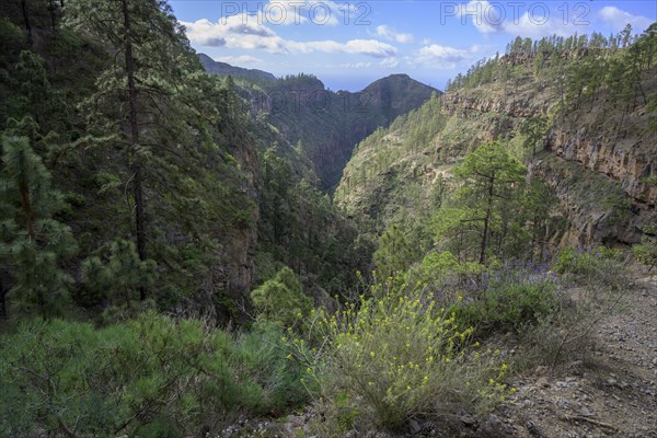 View around the Barranco del Infierno