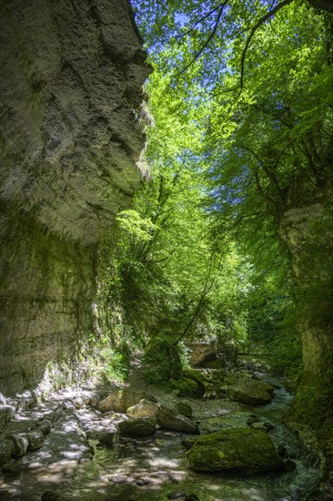 Orfento River Canyon