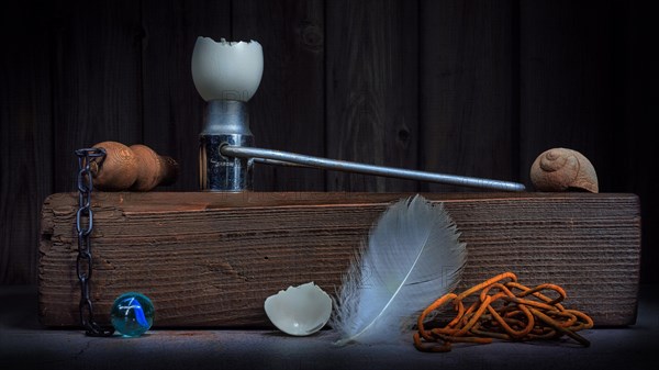 Still life with egg shells