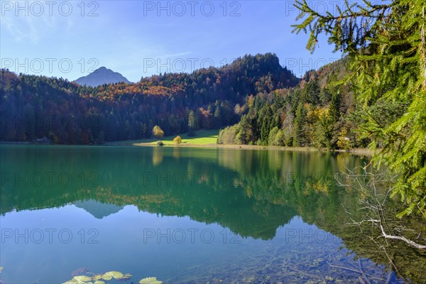 Alatsee near Fuessen