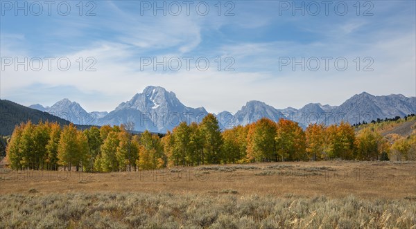 Mountain panorama of the Teton Range