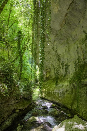 Orfento River Canyon