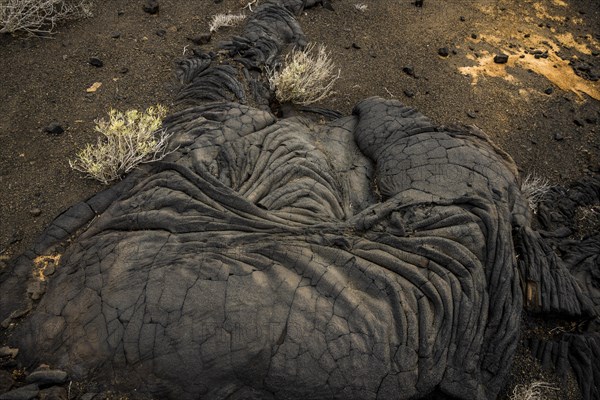 pahoehoe