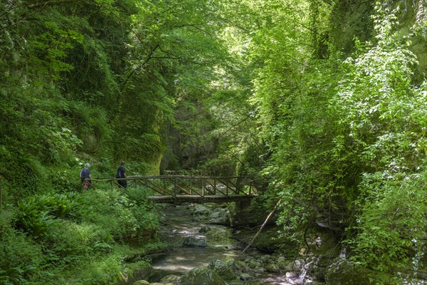 Bridge of the hiking trail through the canyon of the Orfento river