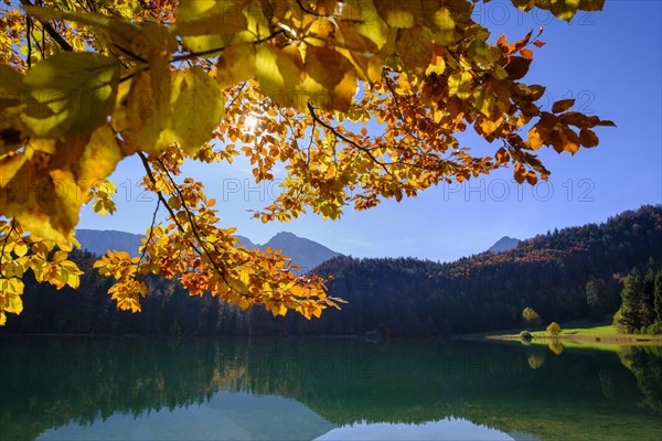 Alatsee near Fuessen