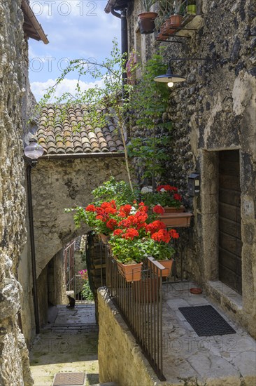 Old Town of