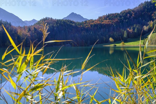 Alatsee near Fuessen