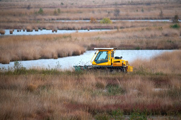 Peatland protection is climate protection