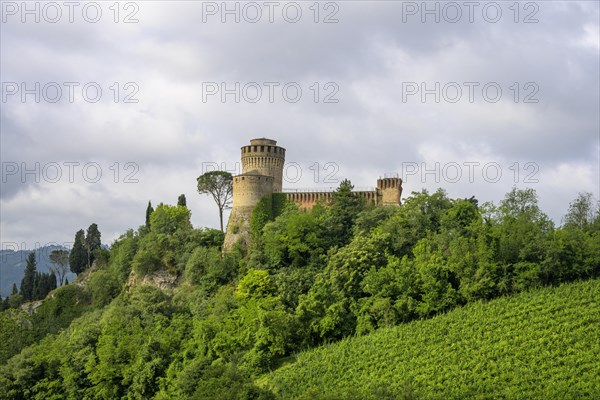 Rocca Veneziani