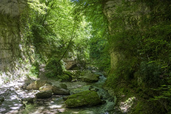 Orfento River Canyon