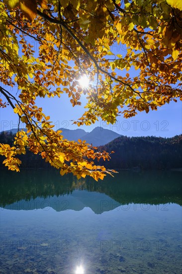 Alatsee near Fuessen