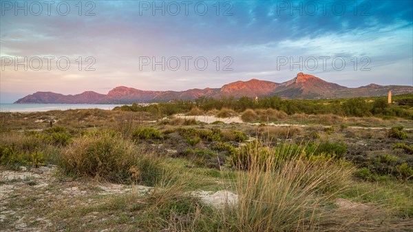 Bay of Son Serra de Marina