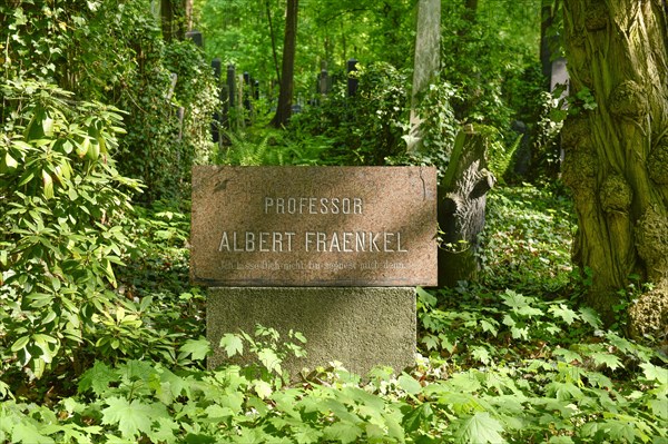 Grave