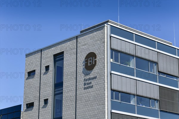 Ferdinand Braun Institute