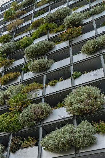 Balconies Overgrowth