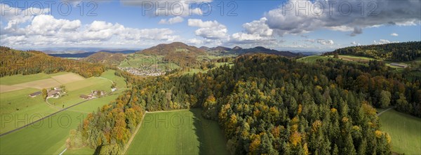 View over autumn forest to Laeufelfingen