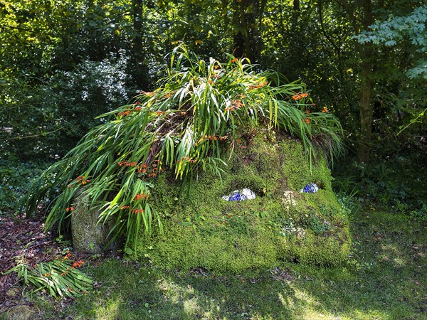 Plant Sculpture